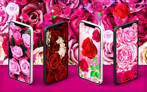 Play Pink red roses live wallpaper  and enjoy Pink red roses live wallpaper with UptoPlay
