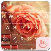Free play online Pink Rose APK Free play online Pink Rose APK