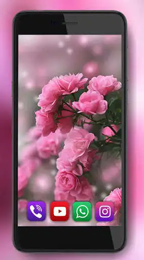 Play Pink Roses Dew Live Wallpaper as an online game Pink Roses Dew Live Wallpaper with UptoPlay