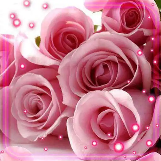 Play Pink Roses Petals APK