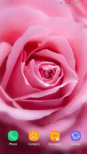 Play Pink Rose Wallpaper as an online game Pink Rose Wallpaper with UptoPlay