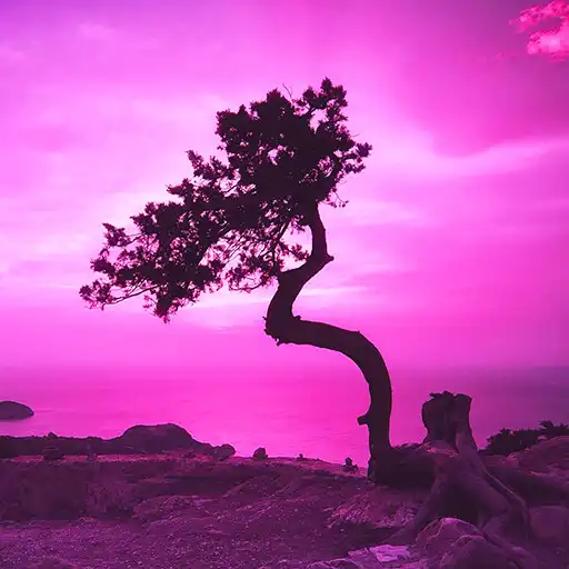 Run free android online Pink Sky Live Wallpaper APK Run free android online Pink Sky Live Wallpaper APK