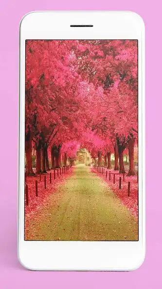 Play Pink Wallpaper 4K HD as an online game online Pink Wallpaper 4K HD with UptoPlay Play Pink Wallpaper 4K HD as an online game Pink Wallpaper 4K HD with UptoPlay
