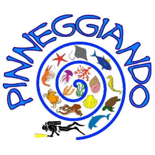 Play Pinneggiando APK Play Pinneggiando APK