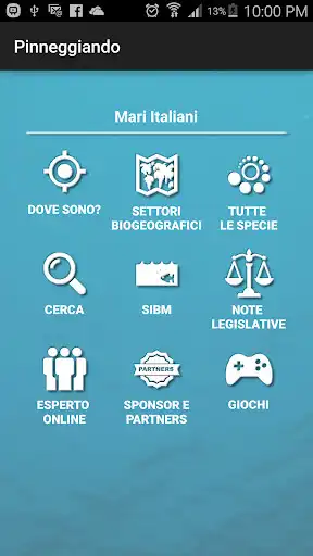 Play Pinneggiando  and enjoy Pinneggiando with UptoPlay