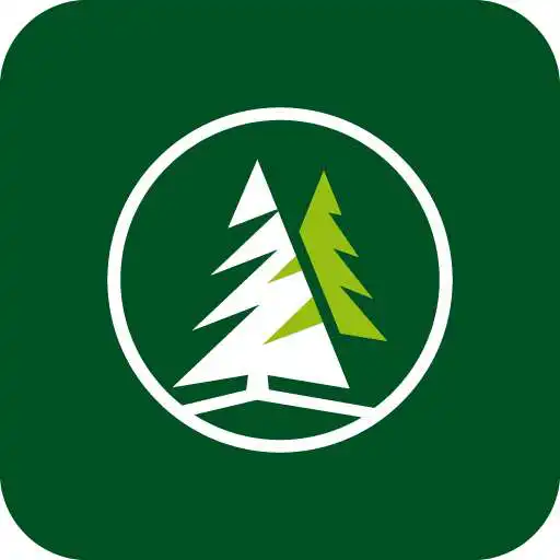 Play Pinos Chiclayo conductor APK Play Pinos Chiclayo conductor APK