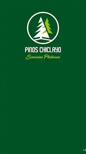 Play Pinos Chiclayo conductor  and enjoy Pinos Chiclayo conductor with UptoPlay