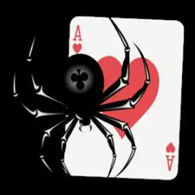 Play Pin Up Spider Solitaire