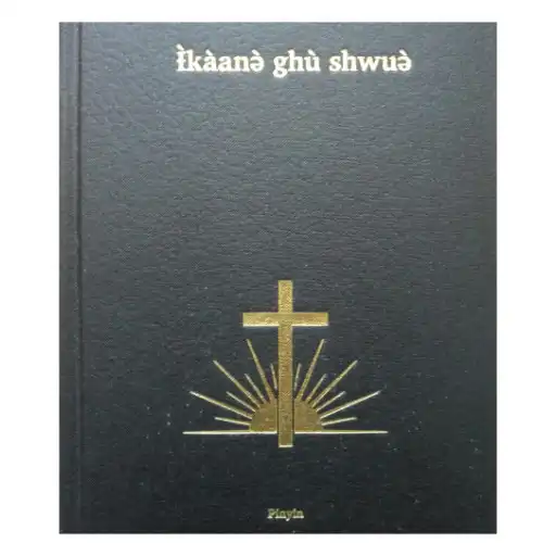 Play Pinyin New Testament APK