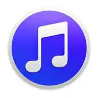 Free play online Pioneer Music Player Pro  APK