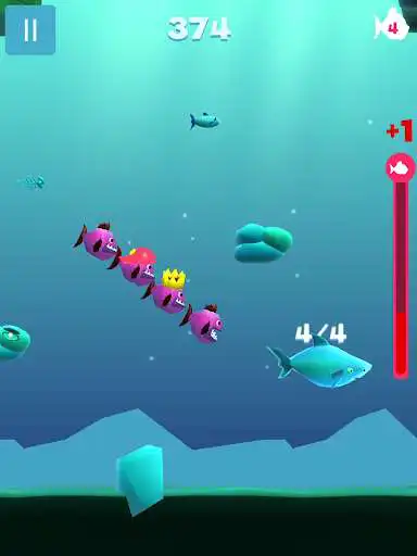Play Piranha Frenzy  and enjoy Piranha Frenzy with UptoPlay
