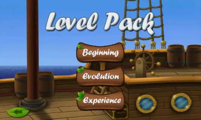 Play Pirate bird adventure