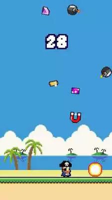 Play Pirate Bomber