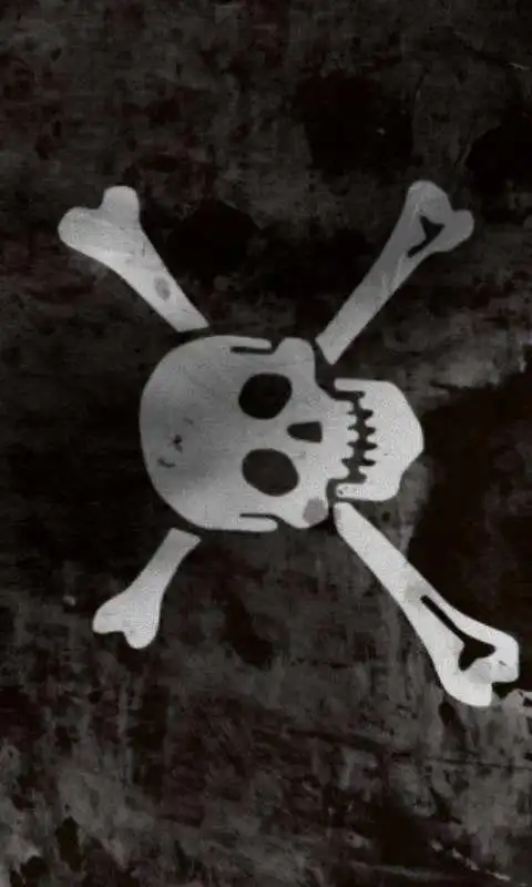 Play Pirate flag free livewallpaper