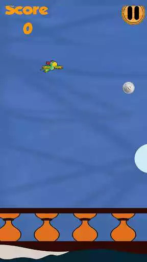 Play Pirate Parrot Flight