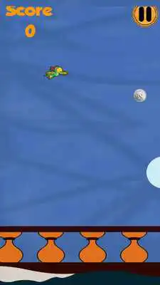 Play Pirate Parrot Flight