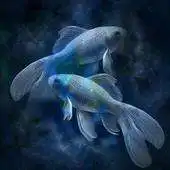 Free play online Pisces Facts APK