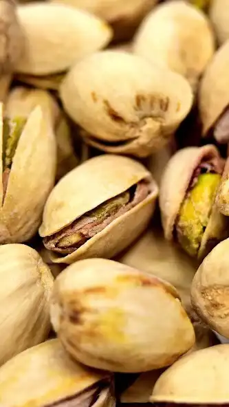 Play Pistachio Wallpaper and enjoy Pistachio Wallpaper with UptoPlay Play Pistachio Wallpaper and enjoy Pistachio Wallpaper with UptoPlay