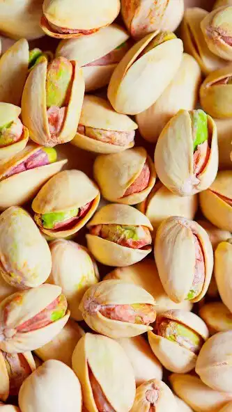 Play Pistachio Wallpaper as an online game online Pistachio Wallpaper with UptoPlay Play Pistachio Wallpaper as an online game Pistachio Wallpaper with UptoPlay