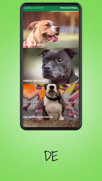Play Pitbull Dog Pictures as an online game online Pitbull Dog Pictures with UptoPlay Play Pitbull Dog Pictures as an online game Pitbull Dog Pictures with UptoPlay