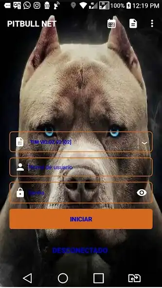 Play PIT BULL NET as an online game PIT BULL NET with UptoPlay