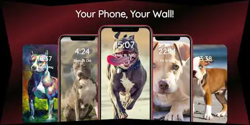Play Pitbull Wallpapers HD as an online game Pitbull Wallpapers HD with UptoPlay