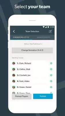 Play Pitchero Manager