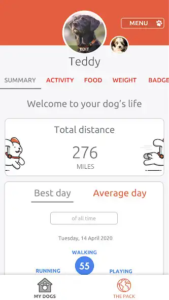 Play PitPat  and enjoy PitPat with UptoPlay