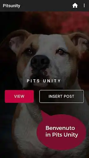 Play Pits Unity and enjoy Pits Unity with UptoPlay Play Pits Unity and enjoy Pits Unity with UptoPlay