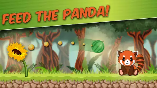 Play Pit the Red Panda  and enjoy Pit the Red Panda with UptoPlay
