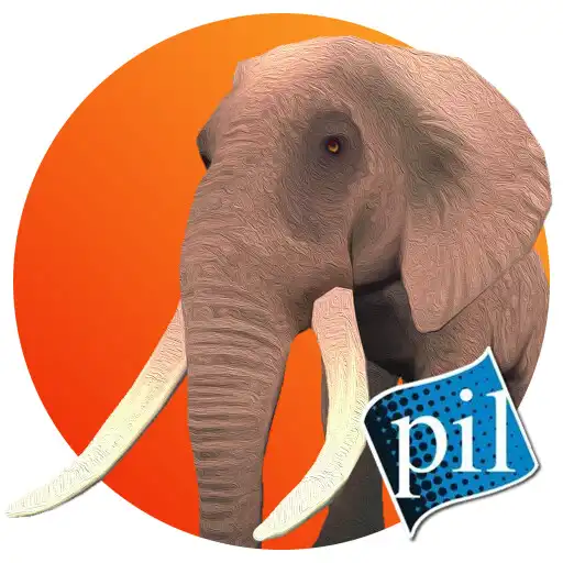 Play PI VR Animals APK