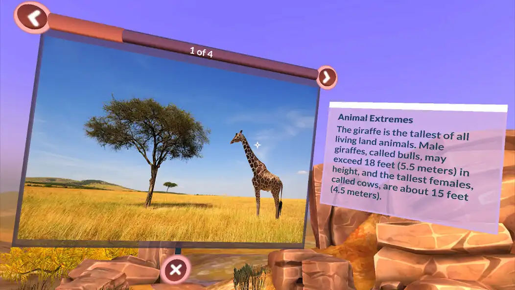 Play PI VR Animals as an online game PI VR Animals with UptoPlay