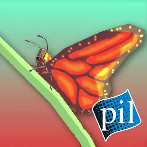 Play PI VR Insects APK Play PI VR Insects APK