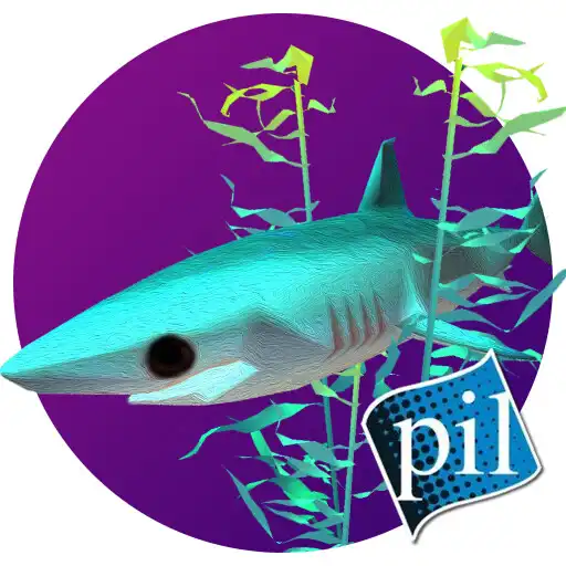 Play PI VR Oceans APK
