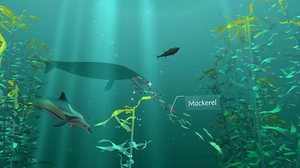 Play PI VR Oceans  and enjoy PI VR Oceans with UptoPlay