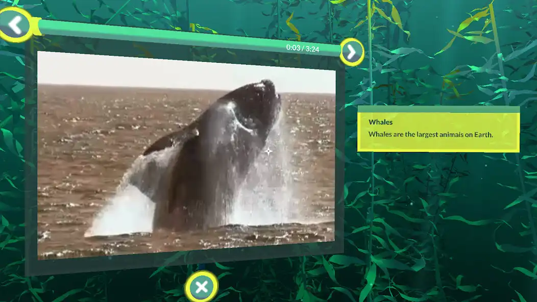 Play PI VR Oceans as an online game PI VR Oceans with UptoPlay