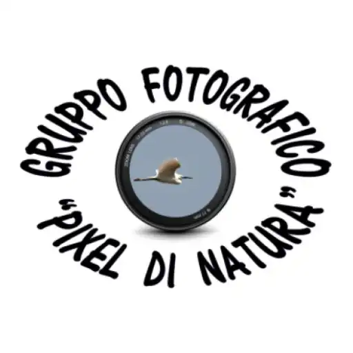 Play Pixel di Natura APK