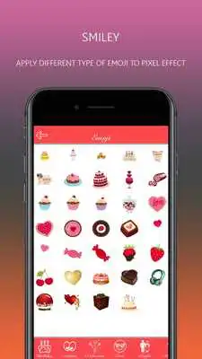 Play Pixel Effect : Pixel Editor