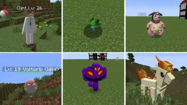 Play Pixelmon Minecraft Ideas