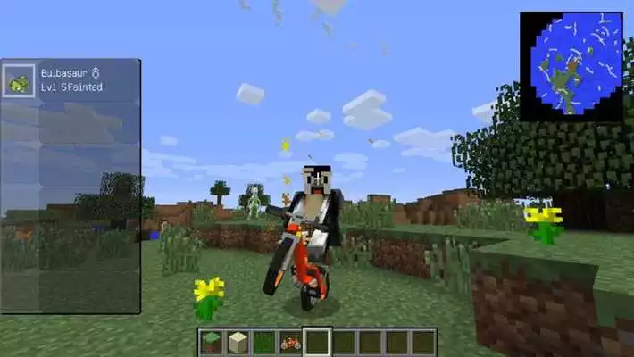 Play Pixelmon Minecraft Ideas