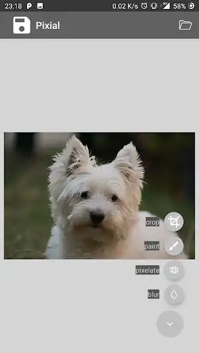 Play Pixial  and enjoy Pixial with UptoPlay