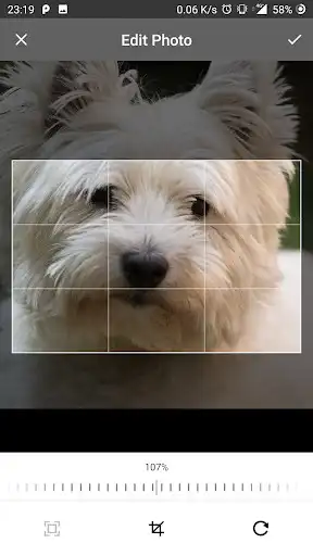 Play Pixial as an online game Pixial with UptoPlay