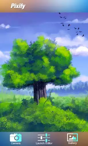 Play Pixify