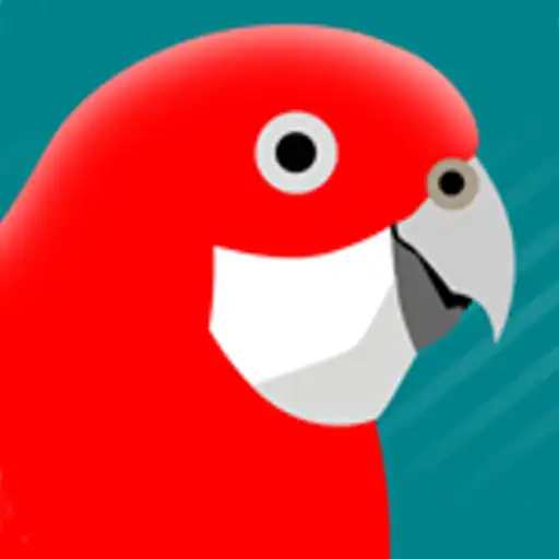 Play Pizzey  Knight Birds of Aus APK