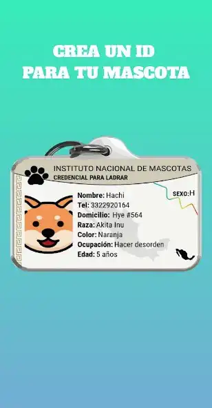 Play Placas para perros ID  and enjoy Placas para perros ID with UptoPlay