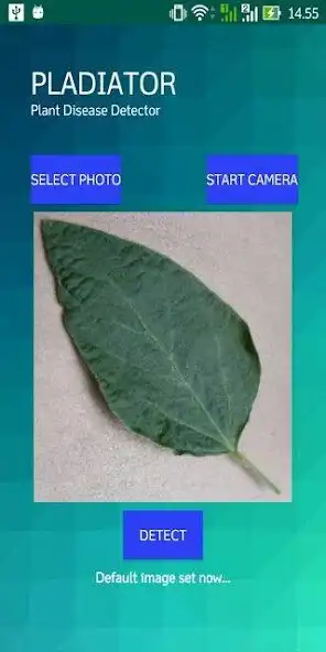 Play Pladiator  and enjoy Pladiator with UptoPlay