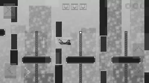 Play Planet Squirrel Play Planet Squirrel