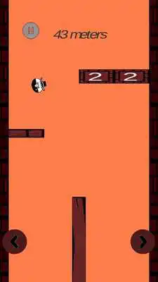 Play Plank The Ball