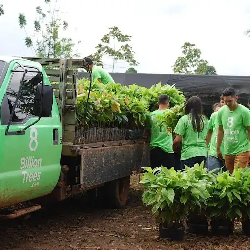 Play Plant A Forest  and enjoy Plant A Forest with UptoPlay