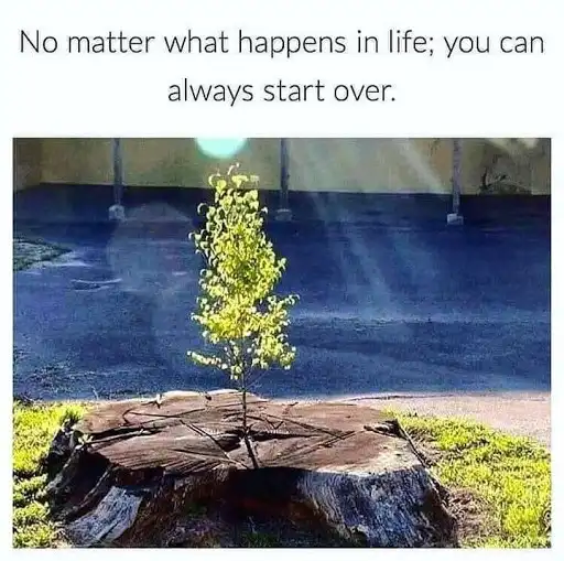 Play Plant A Forest as an online game Plant A Forest with UptoPlay